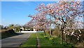 Gilmorton Lane in Willoughby Waterleys