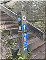 SJ7065 : Signpost beside Shropshire Union Canal Middlewich branch by Jonathan Hutchins