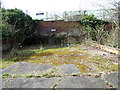 Moss-covered staff car park