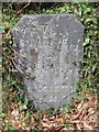 Old Milestone by the A497, Broneifion