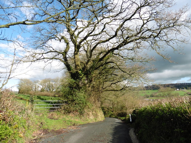Lane to Ford Cross