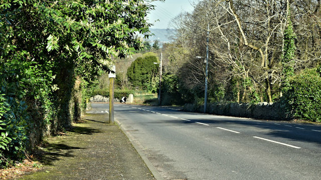 "C" road, Holywood (March 2017)