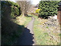 Footpath - Heather Road