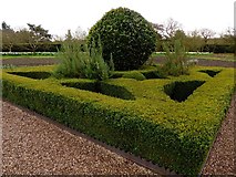 SJ6385 : Topiary, Grappenhall Heys walled garden by Norman Caesar