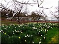 Spring display, Grappenhall Heys walled garden