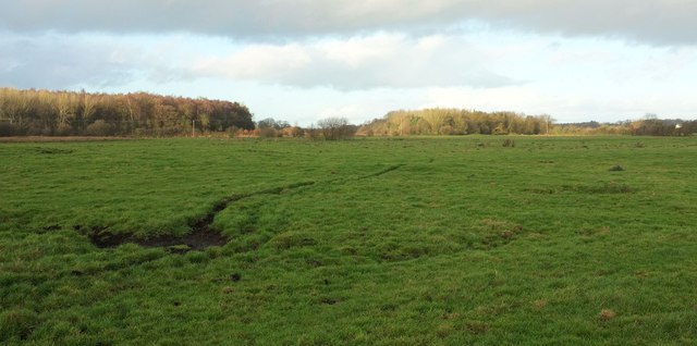 Flood plain of the Holbeck