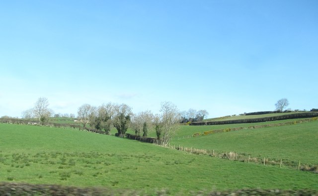 Grazing land north of the A25 (Newry Road)