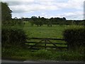 A field near Lochmaben