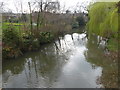 River Eden above Hever Bridge