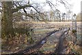 A frosty field, Ochtertyre