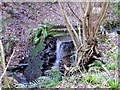 Cascade in Old Roar Gill