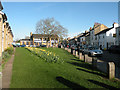 Spring in Norfolk Street