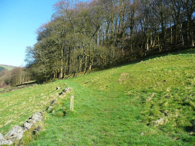 Wadsworth FP35 approaching Middle Dean Wood
