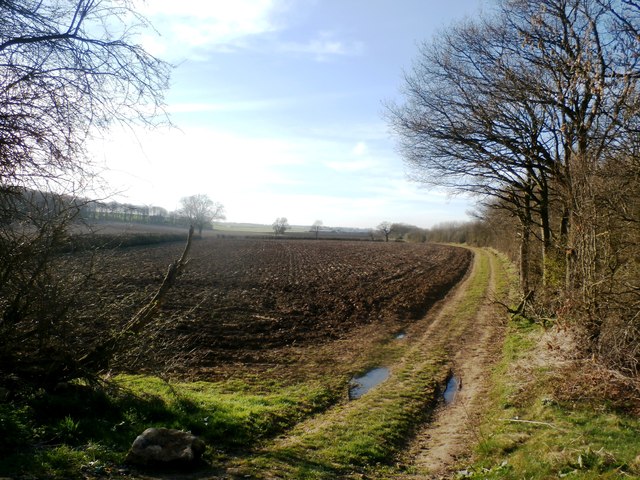 Farm Track and Ploughed Field near the A1(M)