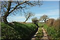 SX1656 : Lane above Trebant Water valley by Derek Harper