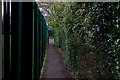 Path from Dunchurch Road to Saunton Road