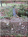 Bridge parapet and stream at Llanbedrog