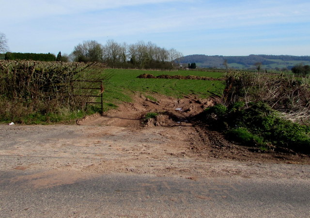 Muddy field entrance near Hendre, Monmouthshire