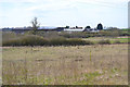 Squab Hall Farm, northeast of Bishop