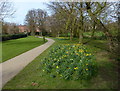 Path through Welland Park, Market Harborough