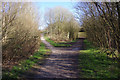 Former Potteries Loop Line east Of Kidsgrove