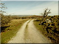 Track, Cuilcagh Legnabrocky Trail