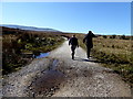 H1132 : Puddles along Cuilcagh Legnabrothy Trail by Kenneth  Allen