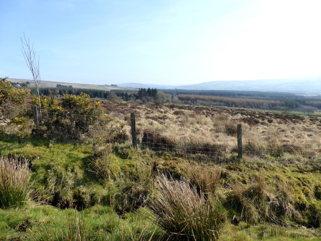 Site of stone circle, Culvacullion © Kenneth Allen :: Geograph Ireland