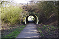 Tunnel under Colclough Lane