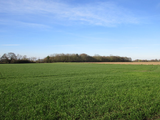 Flat fields and Coronation Plantation