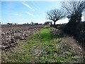 Bridleway heading south to Podmore Cottages