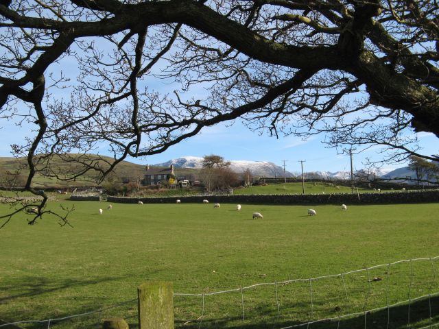 View to Bryn Eithin