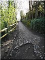 Cobbled path beside Ashley Mill