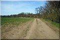 Field to  the south of Ashley Mill