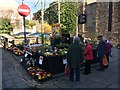 Plant stall at the Conwy Seed Fair