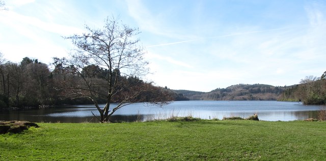 The eastern end of Castlewellan Lake