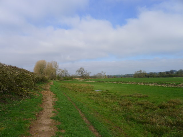 The Trent Valley Way (proposed western extension) at the edge of the Trent floodplain