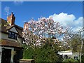 Blooming Alderminster