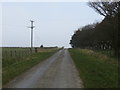 Road from Crake Scar to Pool Tree