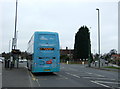 Bus stop and shelter on Aspley Lane