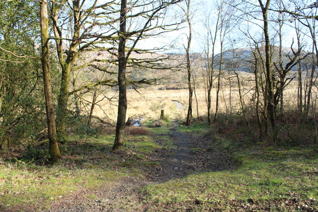 Path to Loch Trool