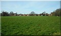 Field beside Priory Farm