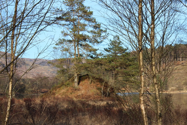 Trees at Loch Trool