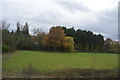 Field by Chiltern Main Line