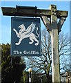 The Griffin