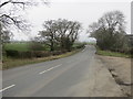 Road (B6277) near Mense House