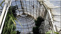 J3372 : The roof structure of the Palm House of Belfast Botanic Gardens by Peter Evans