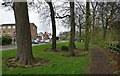 Trees along Braunstone Lane