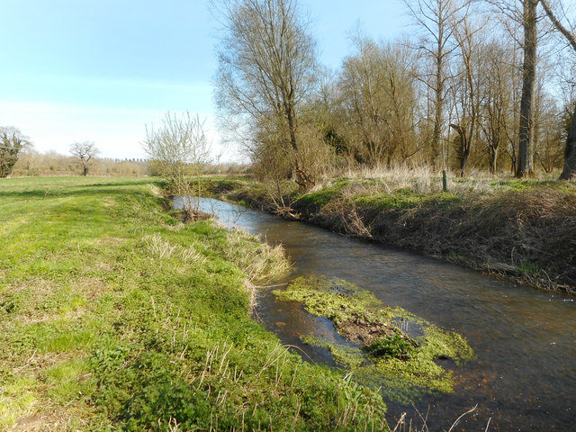 River Enborne © Des Blenkinsopp :: Geograph Britain and Ireland