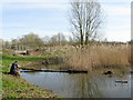 TL3369 : Paddy's pond by M J Richardson